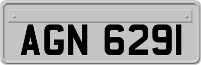 AGN6291