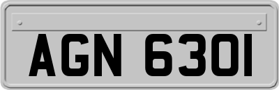 AGN6301