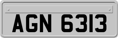 AGN6313
