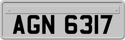 AGN6317