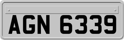 AGN6339