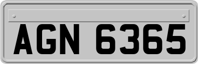 AGN6365