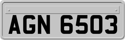 AGN6503