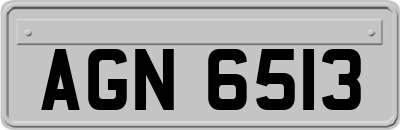 AGN6513