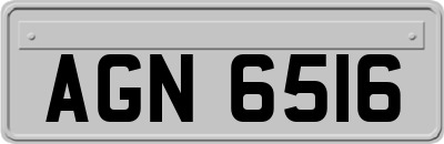 AGN6516