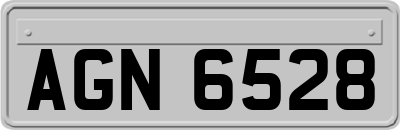AGN6528
