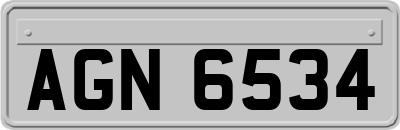 AGN6534