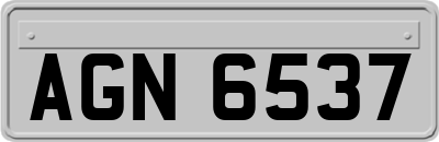 AGN6537