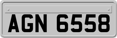 AGN6558