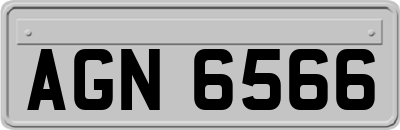 AGN6566