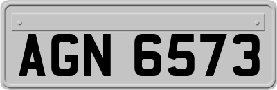 AGN6573