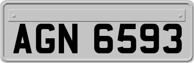 AGN6593