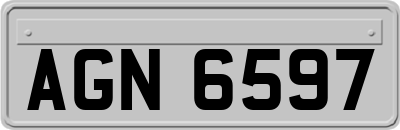 AGN6597