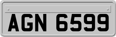 AGN6599