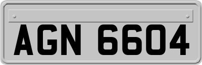 AGN6604