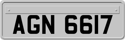 AGN6617