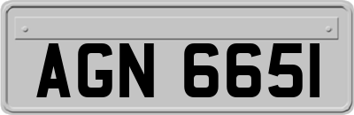 AGN6651