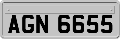 AGN6655