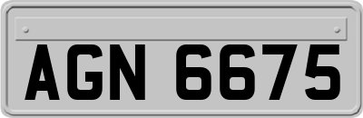 AGN6675