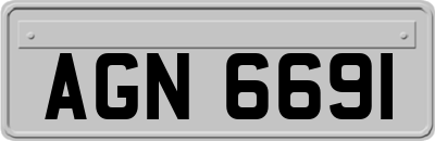 AGN6691
