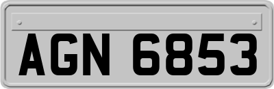 AGN6853