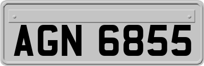 AGN6855