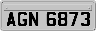 AGN6873