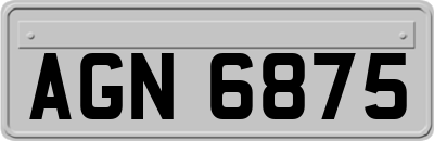 AGN6875