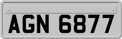 AGN6877