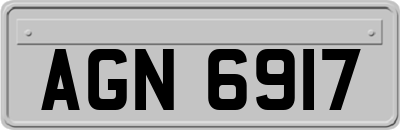 AGN6917