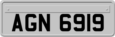 AGN6919