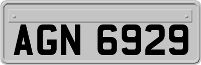 AGN6929