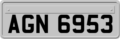 AGN6953