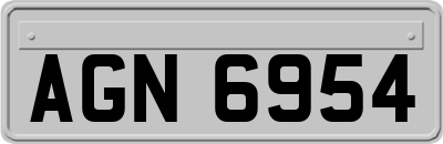 AGN6954