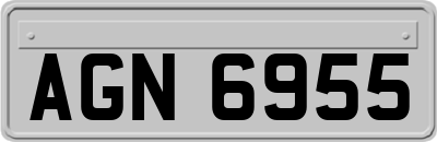 AGN6955