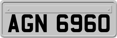 AGN6960