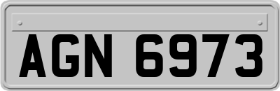 AGN6973