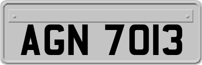 AGN7013