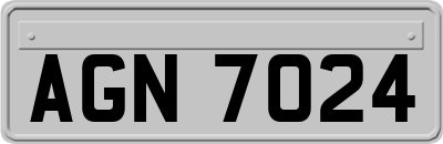 AGN7024