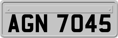 AGN7045