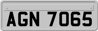 AGN7065