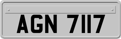 AGN7117