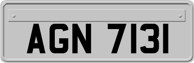 AGN7131