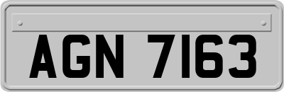 AGN7163