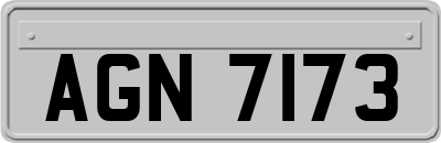 AGN7173