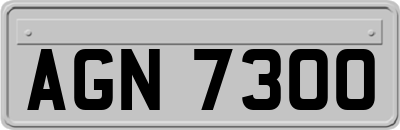 AGN7300