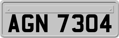 AGN7304