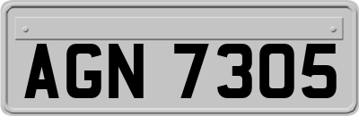 AGN7305