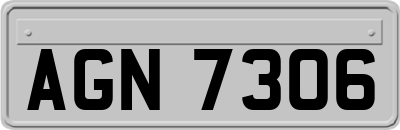 AGN7306