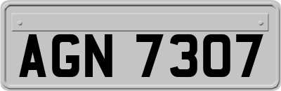 AGN7307